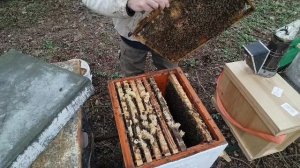 15 апреля  ПОГОДЫ НЕТ  гнездо пчёл расширять или нет.