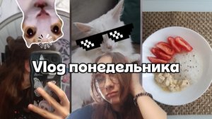 VLOG||понедельник||учёба||не пошла в художку||школа