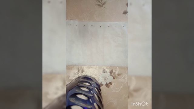 Улитка для рассады — посадка семян