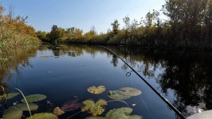 Открытие осеннего сезона.