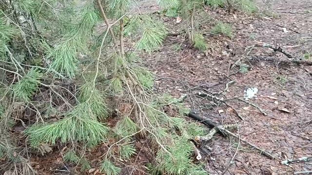 Храм куча снега ласка Ласковское Уржинское туда и сюда