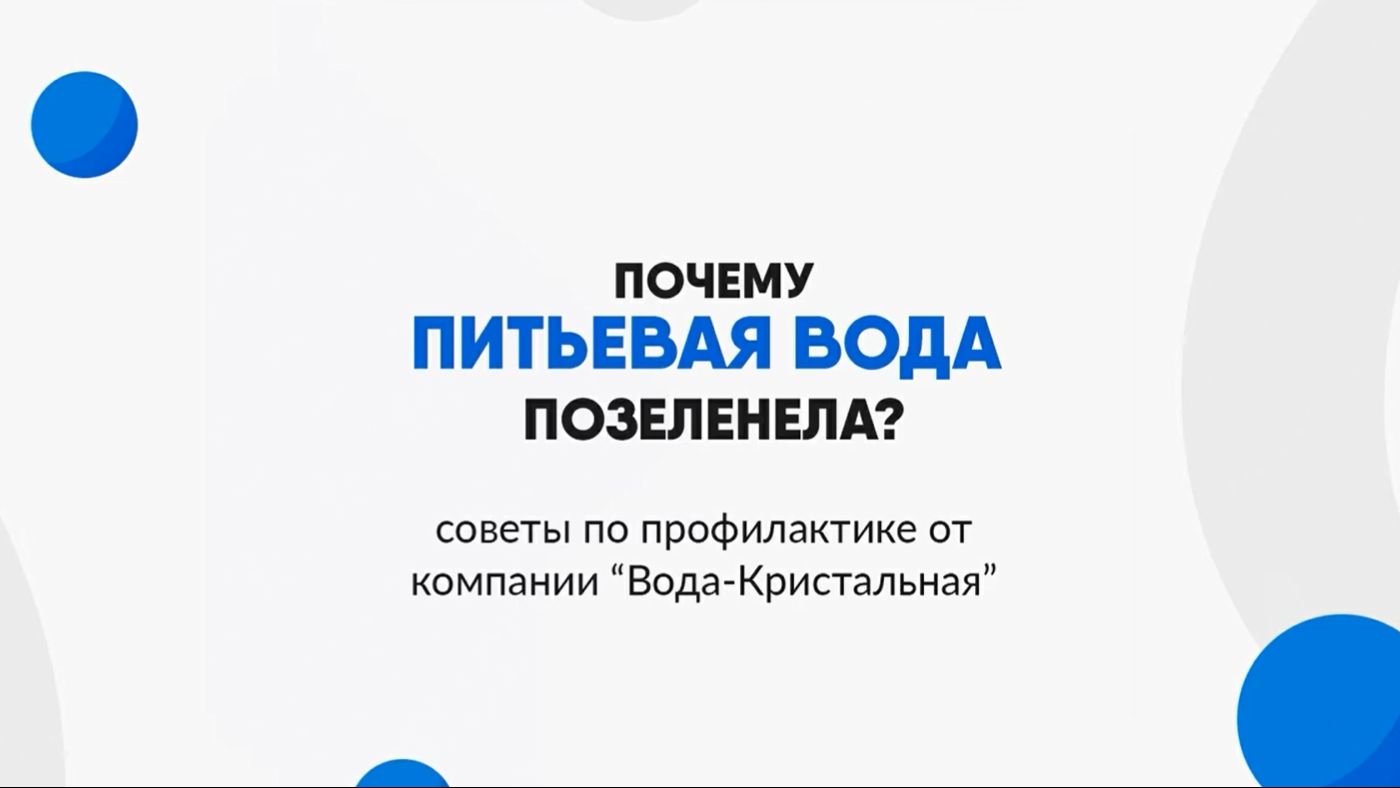 Как предотвратить позеленение воды? Разбираемся за минуту!