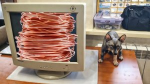 Много меди в мониторе ЭЛТ Samtron 76E ✔ Разбор на цветмет и драгметаллы