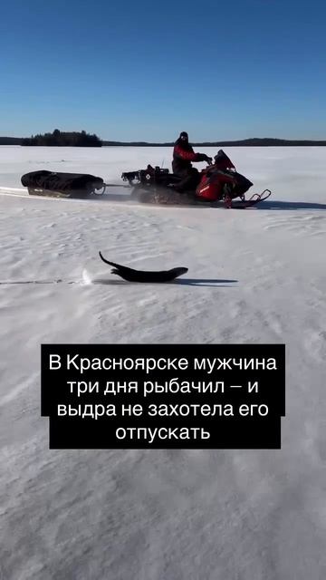 В Краснодаре мужчина отправился на рыбалку на три дня — и обзавёлся неожиданным «напарником».