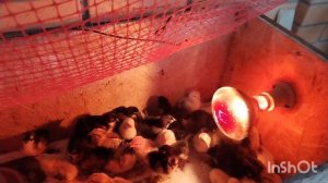 Как длительно сохранить яйцо. Проблемы с водой.  Снова поездка из хорошей погоды в плохую.