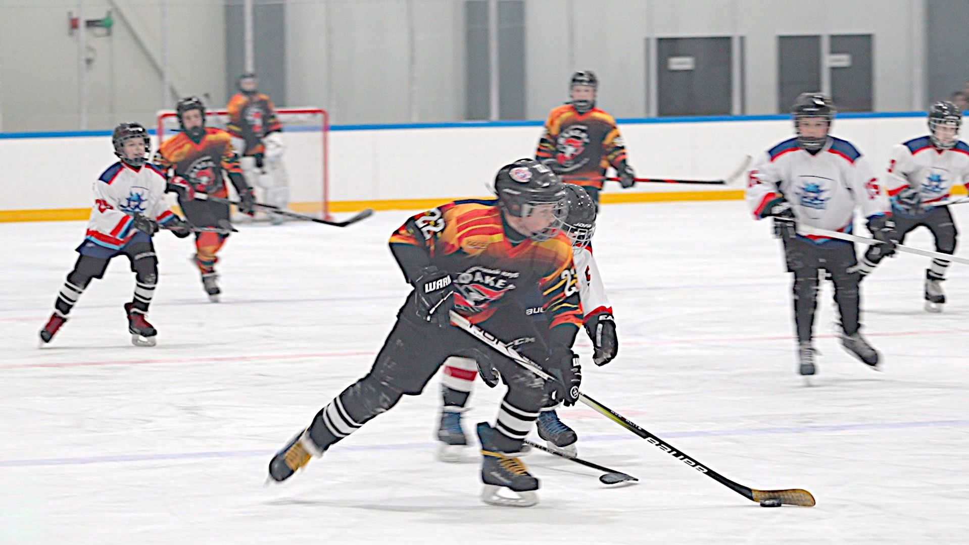 БУДУЩИЕ ЧЕМПИОНЫ