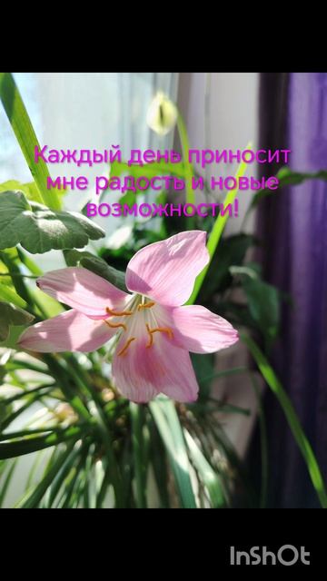 🪷 Поддержи свою уверенность и позитивный настрой! 💃🕺