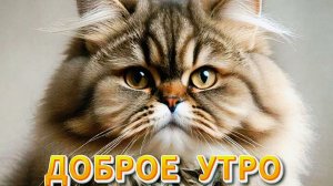 Доброе утро: красивые открытки и пожелания утреннего позитива | Домохозяйка Ната