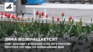 Зима возвращается? Снег выпадет в Москве и на юге России: прогноз погоды на ближайшие дни