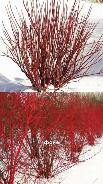 Стоит КОПЕЙКИ  выглядит на МИЛЛИОН 