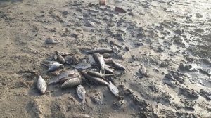 Рыбалка Югра