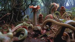 Чужеродные растения