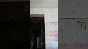 Безэ(или как оно там правильно называется)?