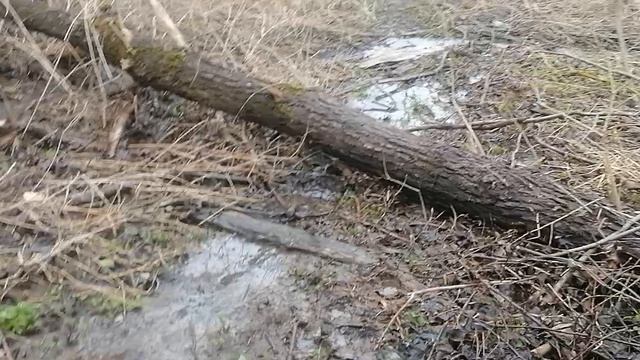 15.04.2026.Ляховский край.Уно-Моменто!25/7/365. Губернаторский. Ляхово TиVи. Усадьба Парк Кинематогр