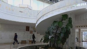 Музей "Дерево Дружбы" в Сочи закрылся на ремонт до ноября 2027 года