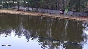 Безлимитный сектор.mp4