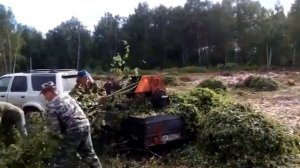 древогрыз-только щепки летят