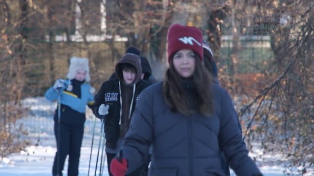 Область говорит 242