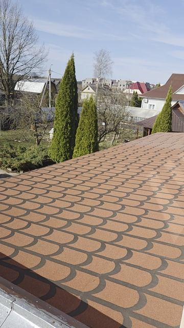 На КрЫшЕ гАрАжА🫠