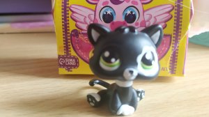 Распаковка пэтов которые завершают мою коллекцию