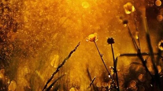 М.870)) Молимся вместе. Примирение во Христе...