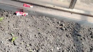 Видео привет 15 апреля 2026 года