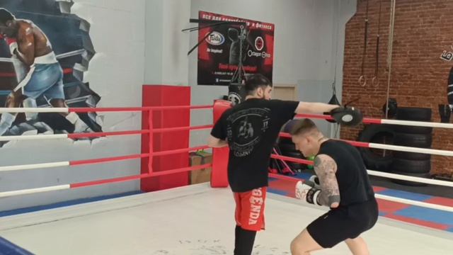 Ударник Дмитровская. Тренерский состав.