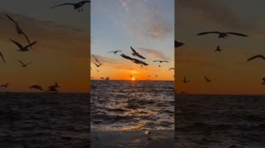 там, где мы встретимся