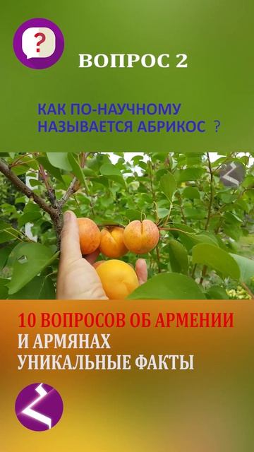 10 вопросов об Армении и армянах | Уникальные факты