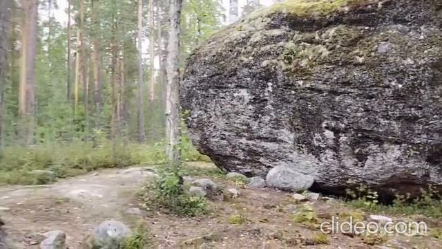 таинственный валун среди леса. история от подписчика
