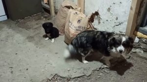 29,30 января 2024 г.Мой дом .Начала заливать пол.