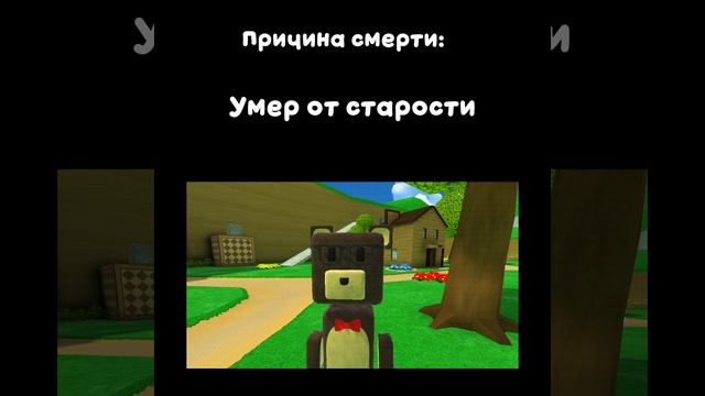 Причина смерти всех медведей в SBA