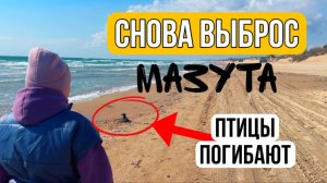 ВЛОГ! Спасли птицу!