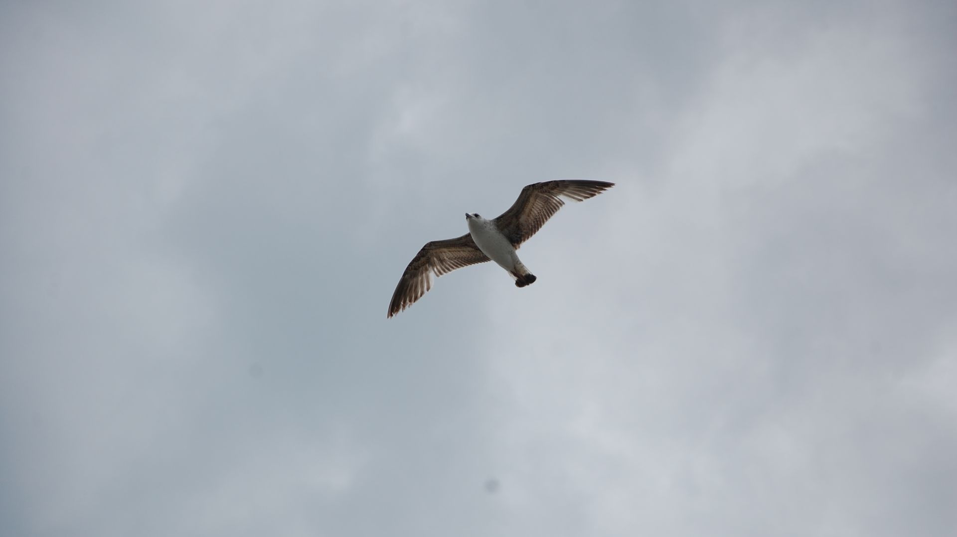 Александр Глазунов - Miniature, Op.42 No.3 - Valse