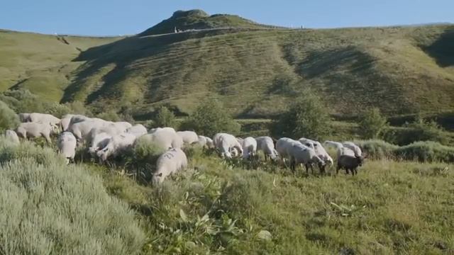 Я СПОРИЛА С БОГОМ потому что хотела денег а Он показал мне истину и вернул КЛИНИЧЕСКАЯ СМЕРТЬ