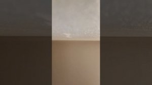 что мы делаем дома