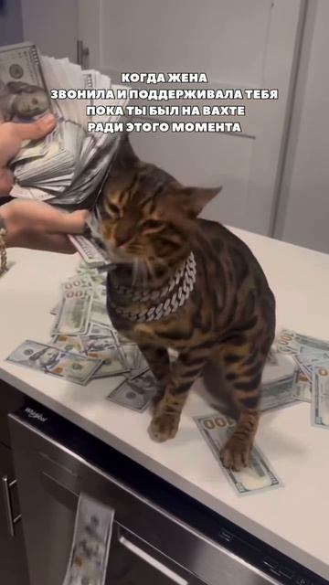 Когда жена с тобой общалась ради денег