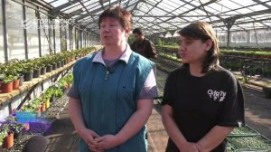 В оранжерее Егорьевской службы благоустройства готовят более 80 тысяч цветов для городских клумб.