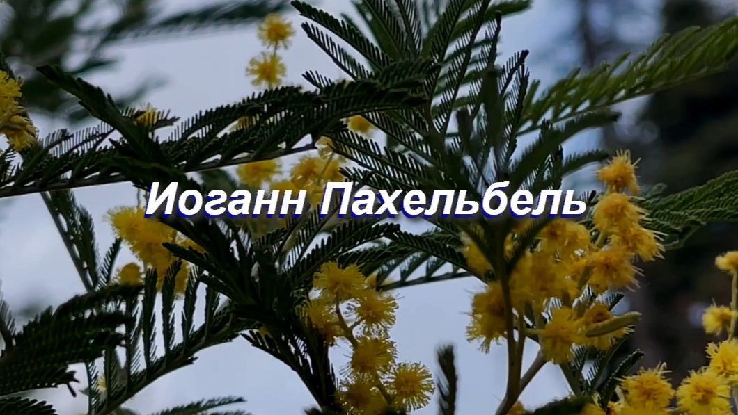 Иоганн Пахельбель,  Канон ре мажор. Классическая музыка