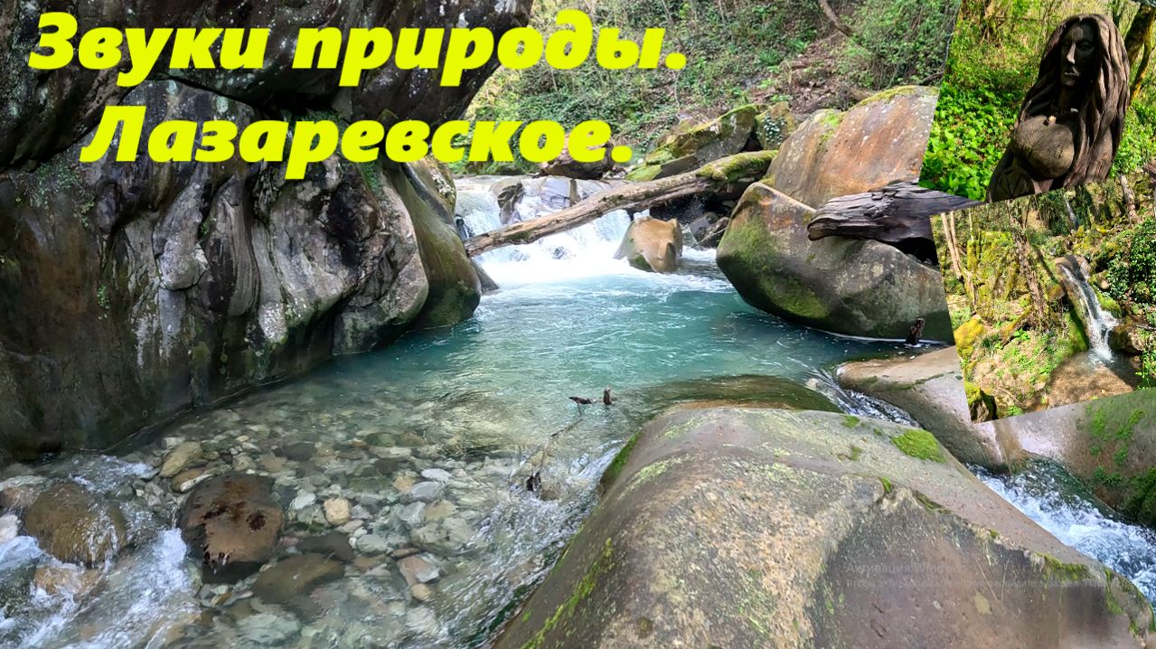 Звуки природы. Лазаревское. Тут я помолчу релаксируйте!