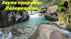Звуки природы. Лазаревское. Тут я помолчу, релаксируйте!