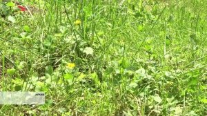 В Северной Осетии продолжается контроль за эпидситуацией и клещевыми инфекциями