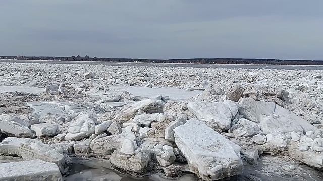 Глыбы льда пристали к берегу, ледоход вовсю идет)