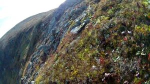 Хождение по горам