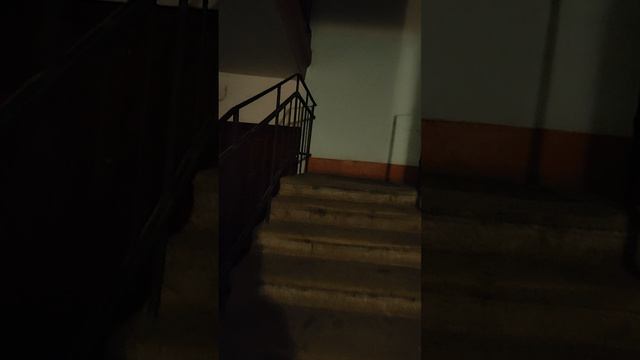 VID_20260415_143049.mp4