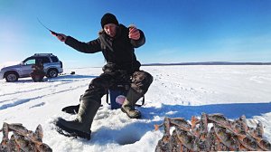 Окунь в феврале на балансир и мормышки. Зимняя рыбалка 2026.