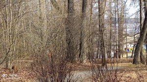 ТИМУР ОХРАНЯЕТ ПАРК 15-04-2026