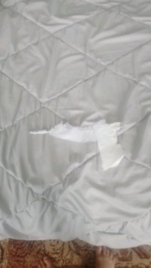 Выживание на моем сервере, 1 часть