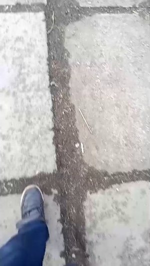 идём домой+ответы на вопросы