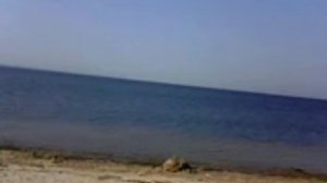 *Финский залив* август 2022г.